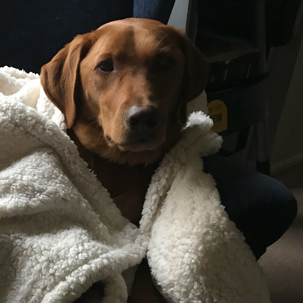 Meet your Posher, Meg